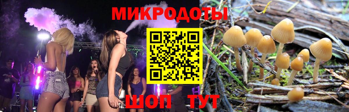 Псилоцибиновые грибы Psilocybe  Псилоцибиновые грибы прущие грибы  Таганрог  Вход с VPN 