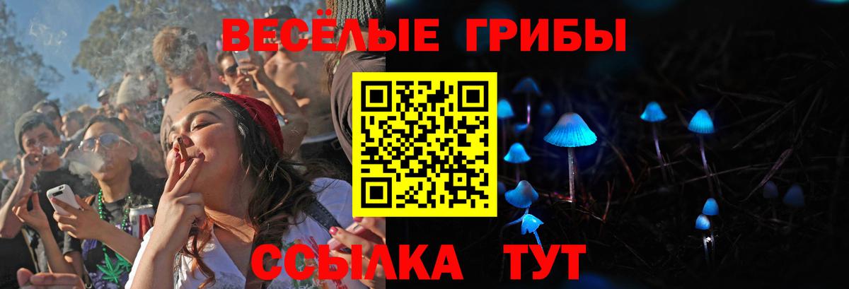 Псилоцибиновые грибы мицелий Таганрог